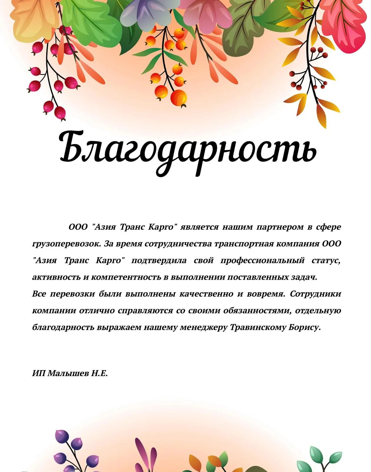 Благодарственное письмо от ИП Малышев Н. Е.