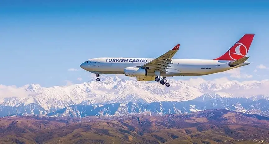 Россия и Турция — товарооборот за январь-август 2025 Товарооборот России и Турции 2025